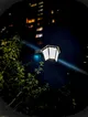 A Light in the Dark