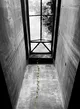 Life Through the Concrete