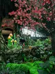 Enchanted Canopy