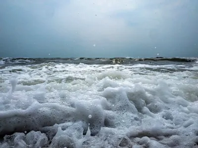 Edge of the Tide