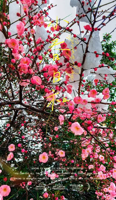 Bright sunshine and cold snow are both spring