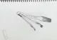 The Painter’s Tools - 2022