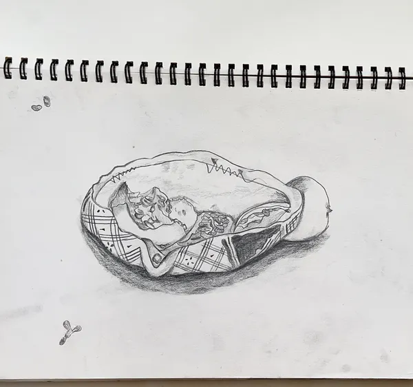 apple core