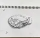 Apple Core Still Life Sketch - 2022