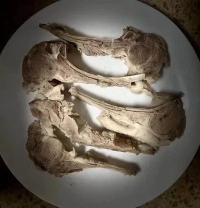 Grilled lamb chops