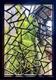 Fragments of a Garden