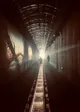 Meet the Light
