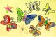 Kids Drawing of Colorful Butterflies
