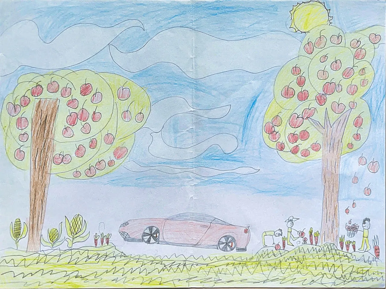 Orchards