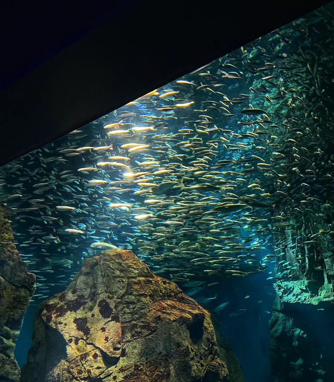 A Day of Light, Water, and City Moments in Osaka