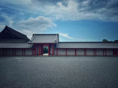 Tokyo Impressions: A Day of Contrasts