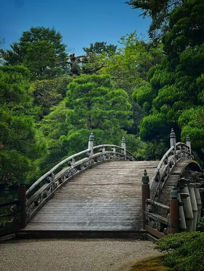 Tokyo Impressions: A Day of Contrasts