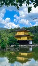 Tokyo Impressions: A Day of Contrasts