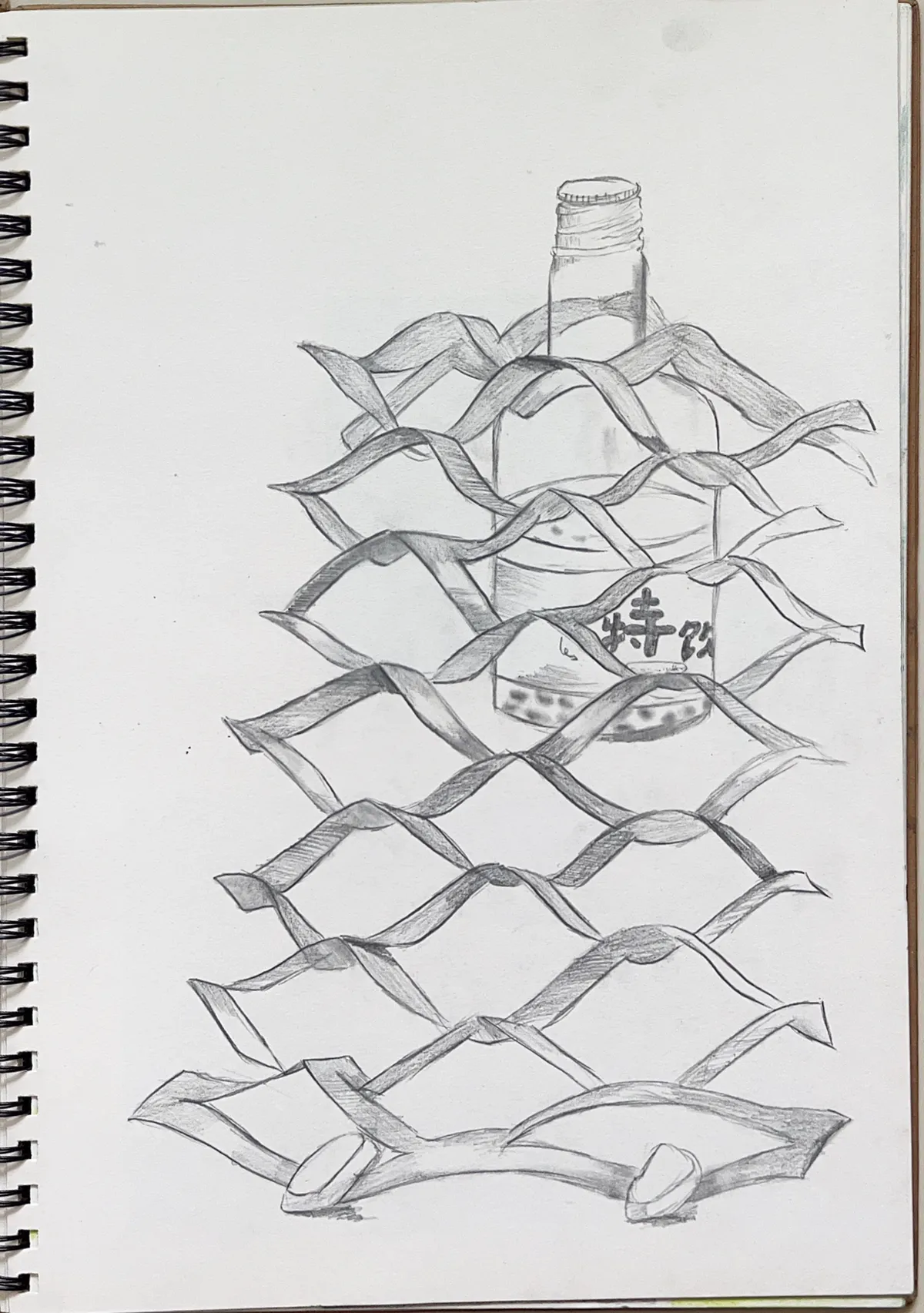 Bottle in Mesh - 2022