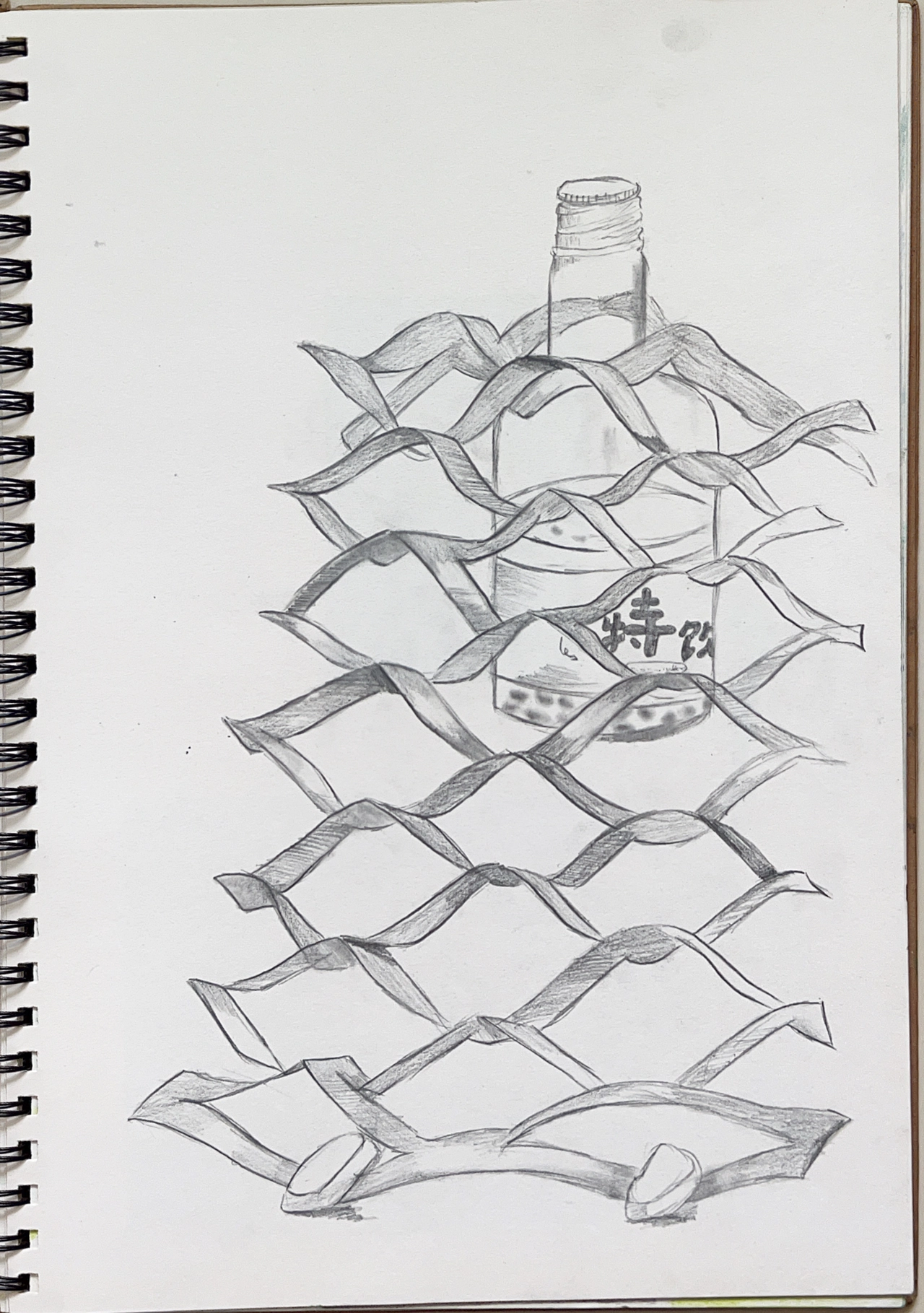 Bottle in Mesh