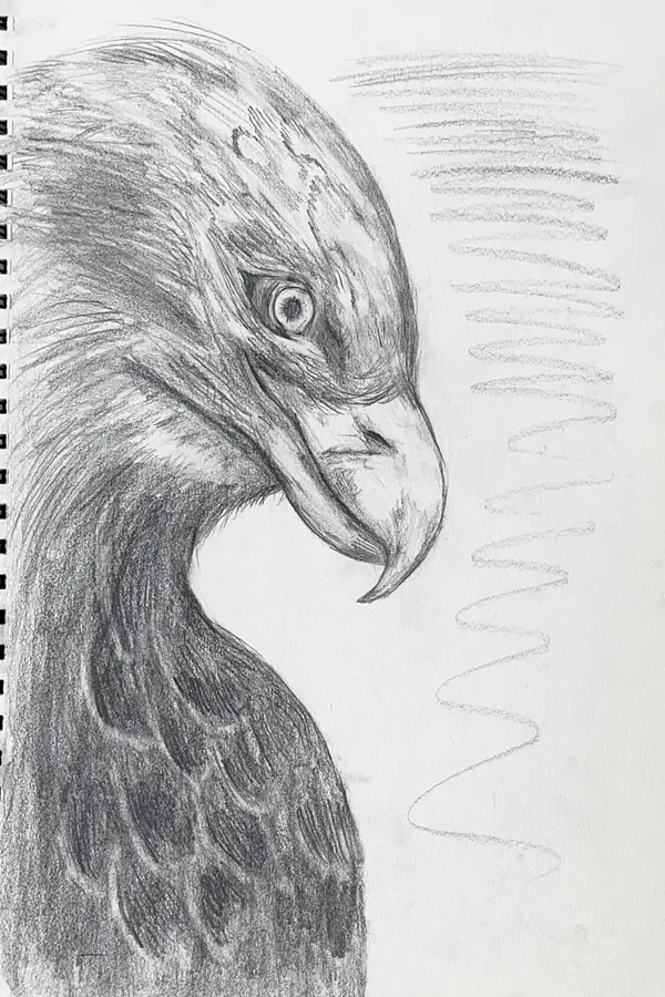 Eagle