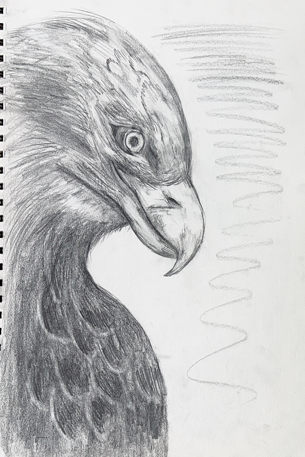 Eagle Profile Study