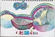 Colorful Pomegranate Illustration - 2022