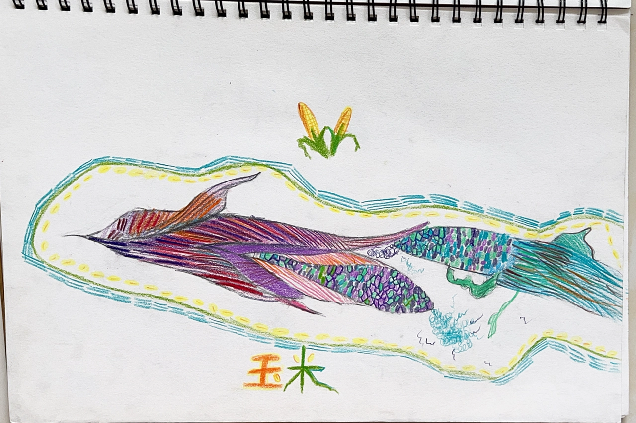 Colorful Corn Sketch