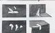Shattered Light Studies - 2022