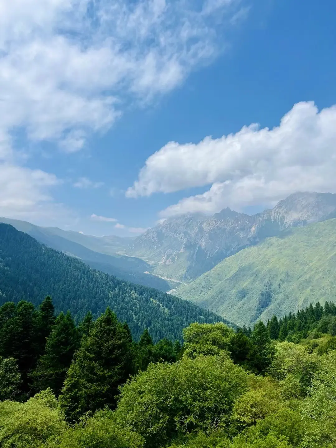 Journey Through Western China: Landscapes and Heritage