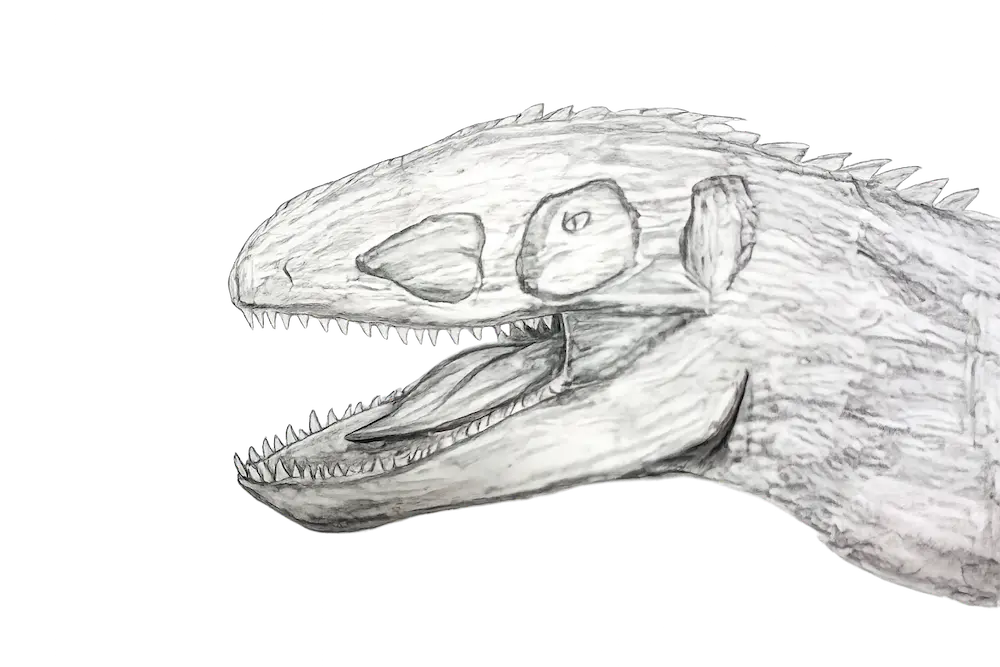 Pencil Dinosaur Drawing of a Detailed Side View Head