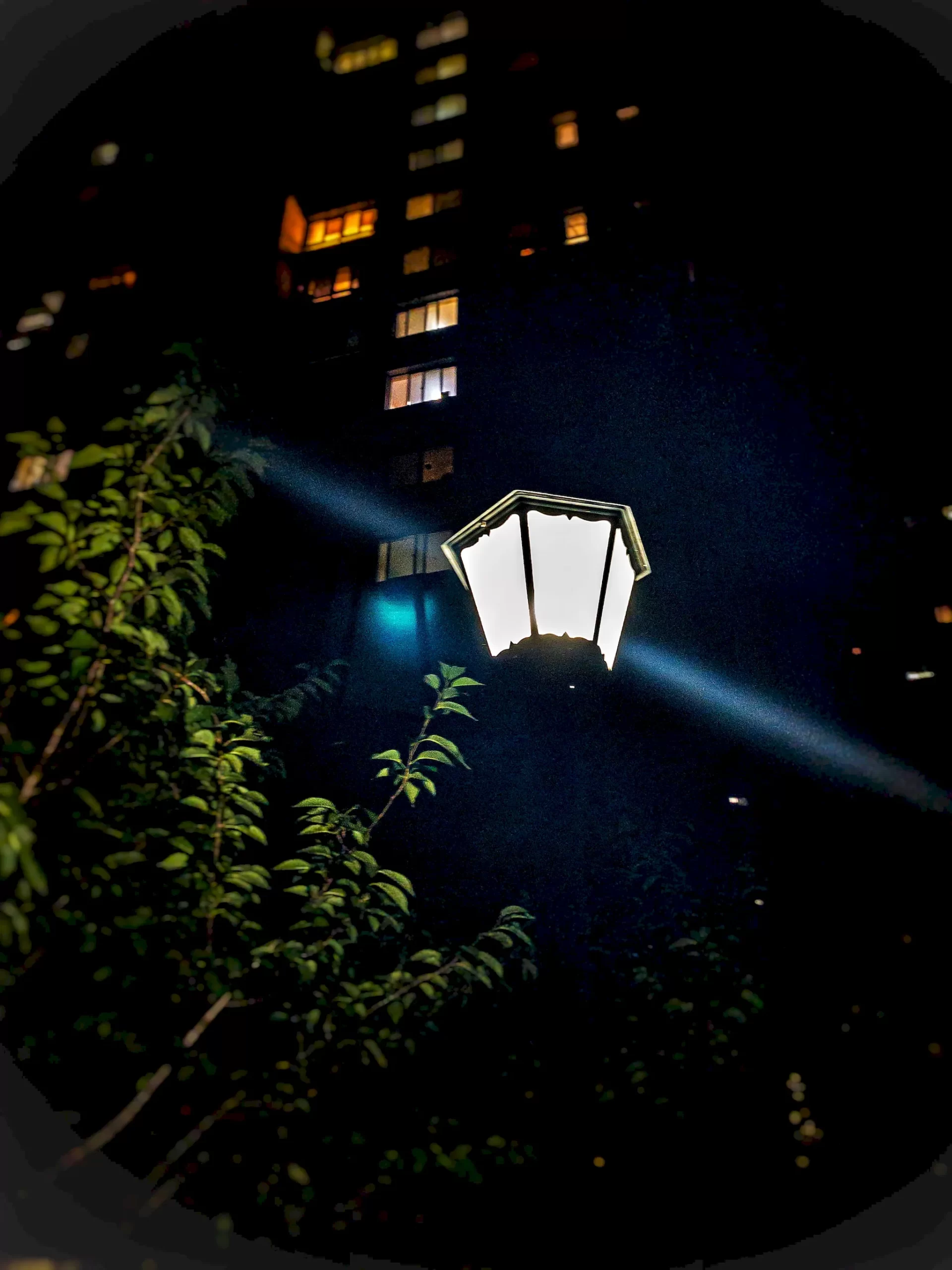 A Light in the Dark