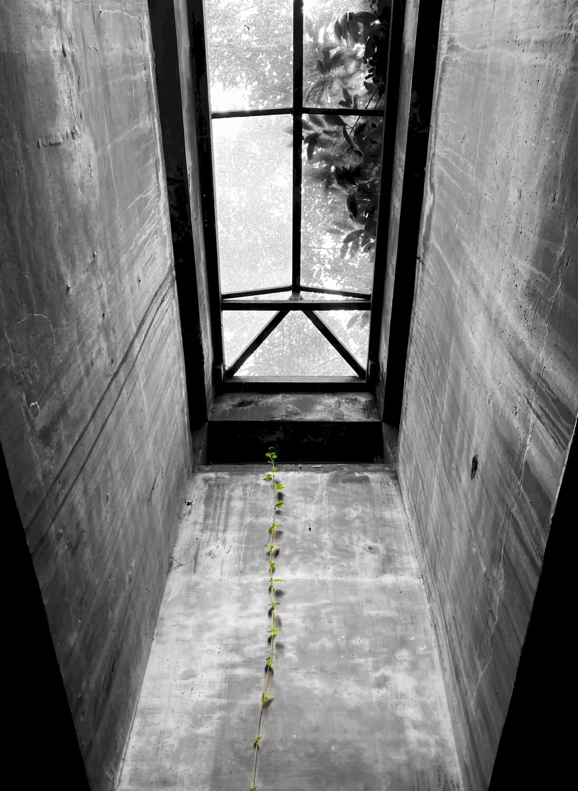 Concrete