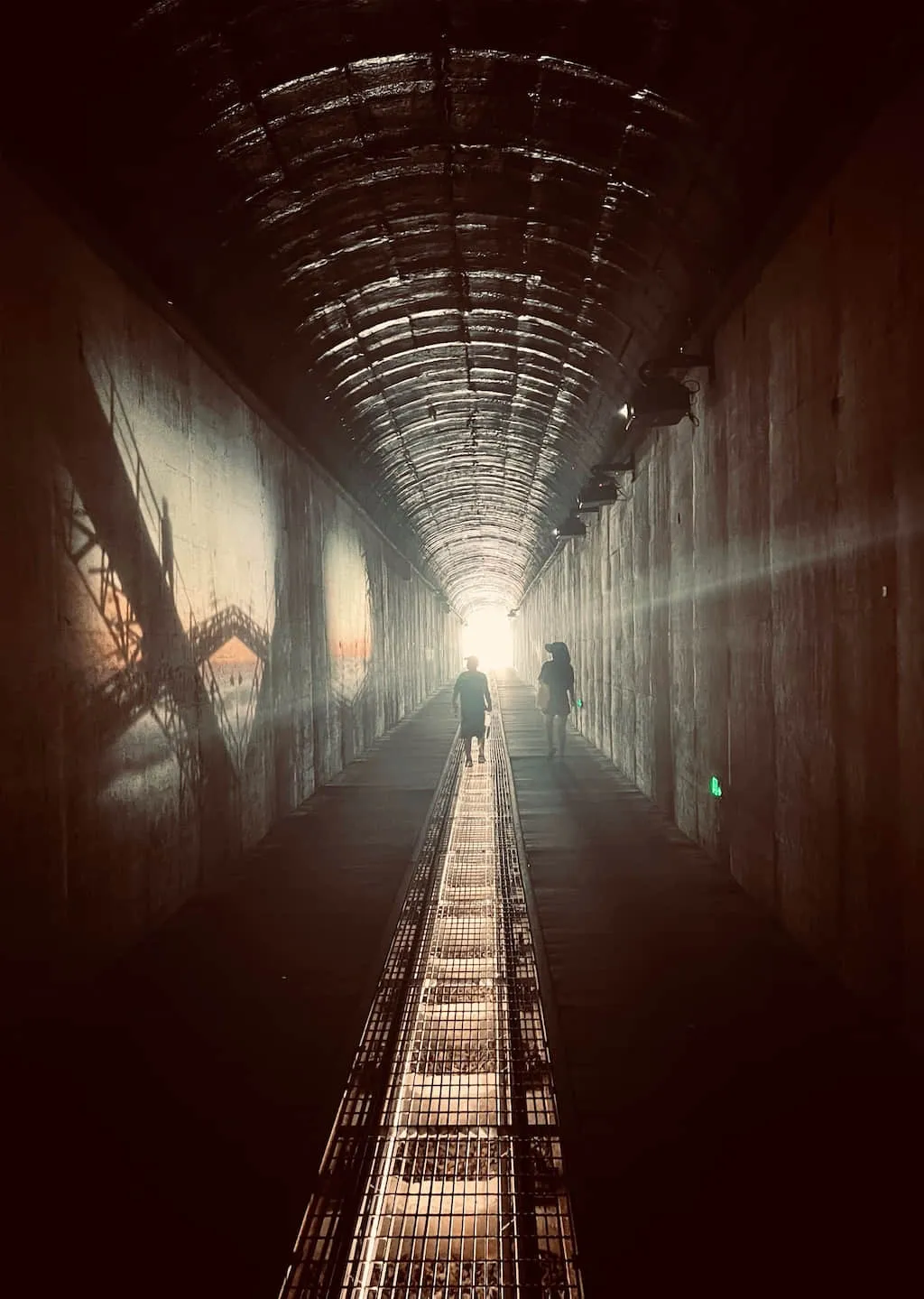 Meet the Light