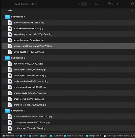 file management